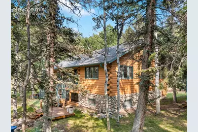56 Blue Jay Lane, Divide, CO 80814 - Photo 5