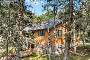 56 Blue Jay Ln, Divide, CO 80814 - Photo 5