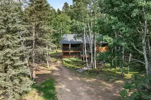 56 Blue Jay Ln, Divide, CO 80814 - Photo 7