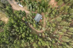 56 Blue Jay Ln, Divide, CO 80814 - Photo 9