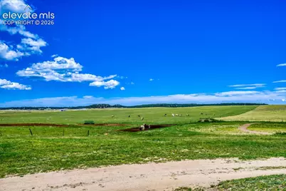 16325 Eastonville Road, Black Forest, CO 80106 - Photo 47