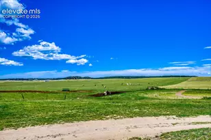 16325 Eastonville Rd, Black Forest, CO 80106 - Photo 47