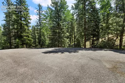 734 Kutsu Ridge Road, Florissant, CO 80816 - Photo 41