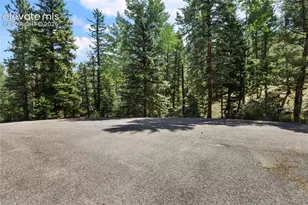 734 Kutsu Ridge Rd, Florissant, CO 80816 - Photo 41