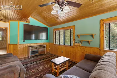 734 Kutsu Ridge Road, Florissant, CO 80816 - Photo 17