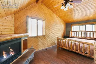 734 Kutsu Ridge Rd, Florissant, CO 80816 - Photo 13