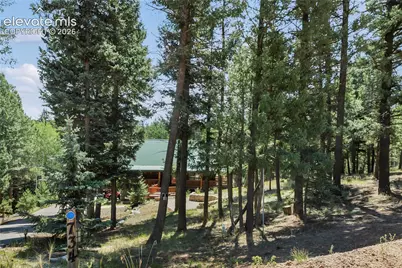 734 Kutsu Ridge Road, Florissant, CO 80816 - Photo 37