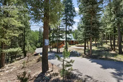 734 Kutsu Ridge Road, Florissant, CO 80816 - Photo 39