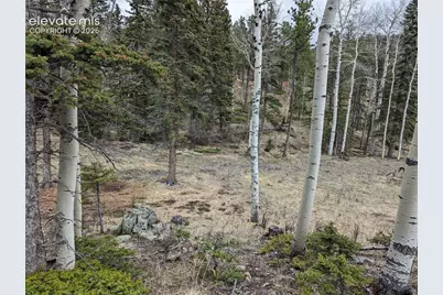 146 Waterfall Loop, Manitou Springs, CO 80829 - Photo 7