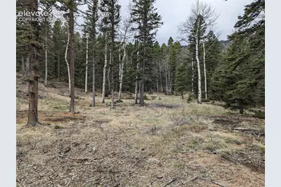 146 Waterfall Loop, Manitou Springs, CO 80829 - Photo 3