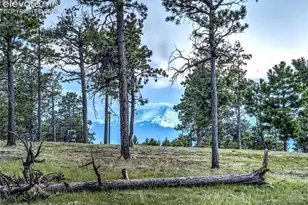 4735 Saxton Hollow Rd, Colorado Springs, CO 80908 - Photo 43