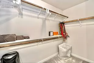 7364 Cracker Jack Hts, Colorado Springs, CO 80922 - Photo 17