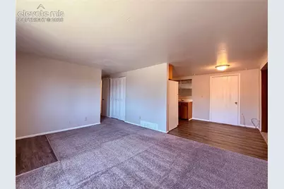 1315 Maxwell Street, Colorado Springs, CO 80906 - Photo 9