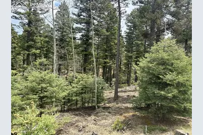 357 Big Horn Road, Manitou Springs, CO 80829 - Photo 11