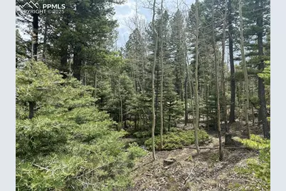 357 Big Horn Road, Manitou Springs, CO 80829 - Photo 13