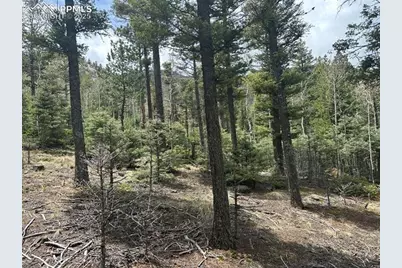 357 Big Horn Road, Manitou Springs, CO 80829 - Photo 3
