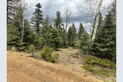 357 Big Horn Road, Manitou Springs, CO 80829 - Photo 5