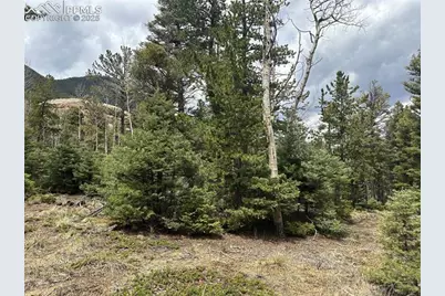 357 Big Horn Road, Manitou Springs, CO 80829 - Photo 7
