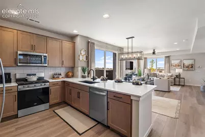 9268 Kurie Mine Lane, Colorado Springs, CO 80908 - Photo 25