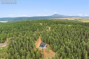 1489 Co Rd 25, Divide, CO 80814 - Photo 5