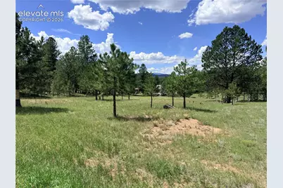189 Rhyolite Lane, Florissant, CO 80816 - Photo 1
