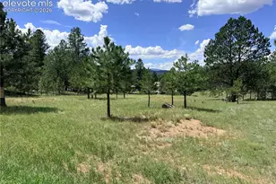 189 Rhyolite Ln, Florissant, CO 80816 - Photo 1