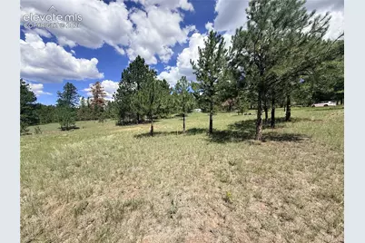 189 Rhyolite Lane, Florissant, CO 80816 - Photo 7