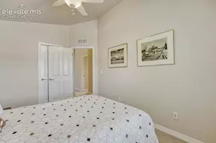 6699 Bethesda Point, Colorado Springs, CO 80918 - Photo 35