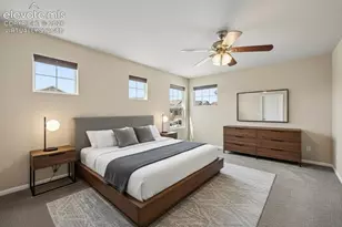 7183 Red Cardinal Loop, Colorado Springs, CO 80908 - Photo 9