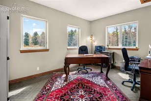 1471 Co Rd 51, Divide, CO 80814 - Photo 9