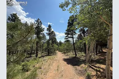 242 Apache Creek Drive, Florissant, CO 80816 - Photo 3