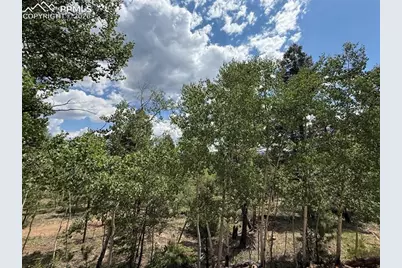 242 Apache Creek Drive, Florissant, CO 80816 - Photo 7