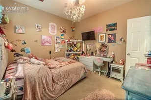 10713 Torreys Peak Way, Peyton, CO 80831 - Photo 25
