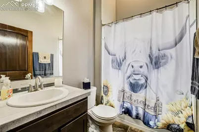 12095 Silver Concho Trail, Elbert, CO 80106 - Photo 23