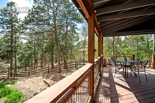 1155 Becky Dr, Colorado Springs, CO 80921 - Photo 45