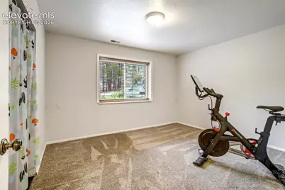 1155 Becky Drive, Colorado Springs, CO 80921 - Photo 41