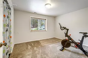 1155 Becky Dr, Colorado Springs, CO 80921 - Photo 41