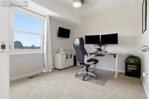 329 Raspberry Ln, Monument, CO 80132 - Photo 21