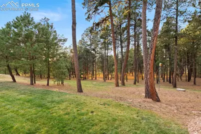17507 Colonial Park Drive, Monument, CO 80132 - Photo 49