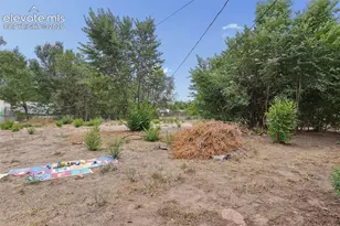 629 Hackberry Dr, Colorado Springs, CO 80911 - Photo 35