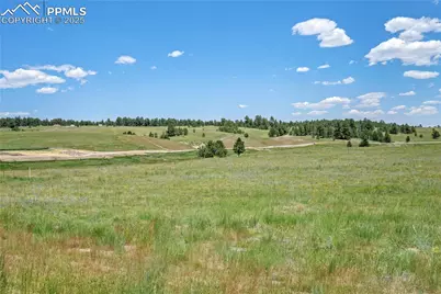 10698 Alamar Way, Colorado Springs, CO 80908 - Photo 15