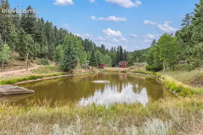 3912 Trout Creek Road, Woodland Park, CO 80863 - Photo 43