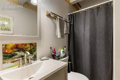 3912 Trout Creek Road, Woodland Park, CO 80863 - Photo 23
