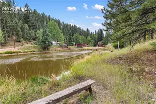 3912 Trout Creek Rd, Woodland Park, CO 80863 - Photo 45