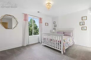 274 Balmoral Way, Colorado Springs, CO 80906 - Photo 25
