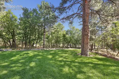 274 Balmoral Way, Colorado Springs, CO 80906 - Photo 41