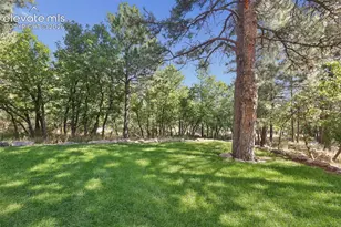274 Balmoral Way, Colorado Springs, CO 80906 - Photo 41