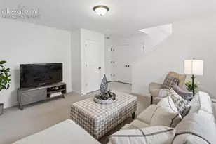 6717 Lily Mountain Ln, Colorado Springs, CO 80923 - Photo 19