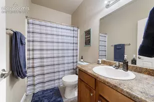 4319 Alder Springs View, Colorado Springs, CO 80922 - Photo 17