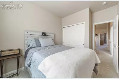 4319 Alder Springs View, Colorado Springs, CO 80922 - Photo 21